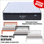 queen bedframe and mattress